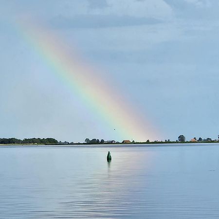 Welkom In Mijn Studio Bij Het Snekermeer ! Offingawier Kültér fotó